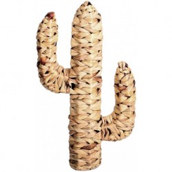 Cactus Trenzado Natural 45cm