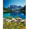 1500 ALPES SUIZOS *