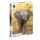 104 WWF LITTLE ELEPHANT