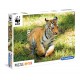 104 WWF TIGER PYPPY